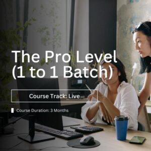 Digital Marketing Pro 1 to 1 Batch